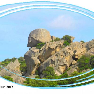 Solstice (14)