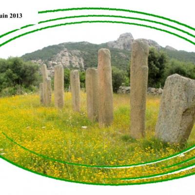 Solstice (15)
