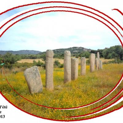 Solstice (16)