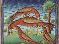 Oiseaux