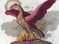 Phenix